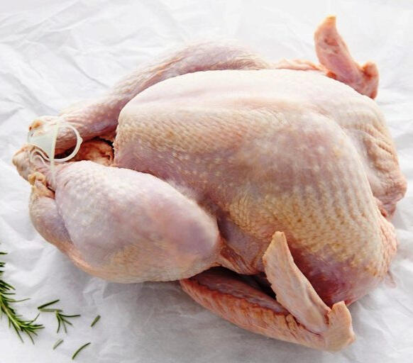 Pasture Raised Turkey ~ approximately 20 lbs. ~ $6.99/lb ~ Freshly processed and available for Christmas! Not just turkey. The taste is amazing!